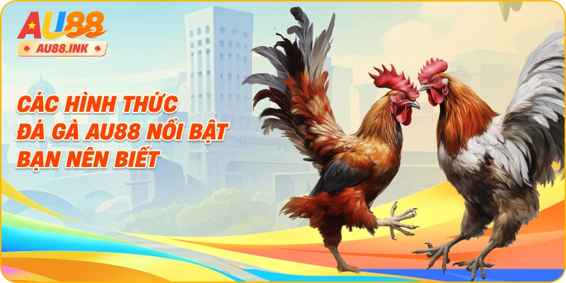 Các hình thức đá gà AU88 nổi bật bạn nên biết
